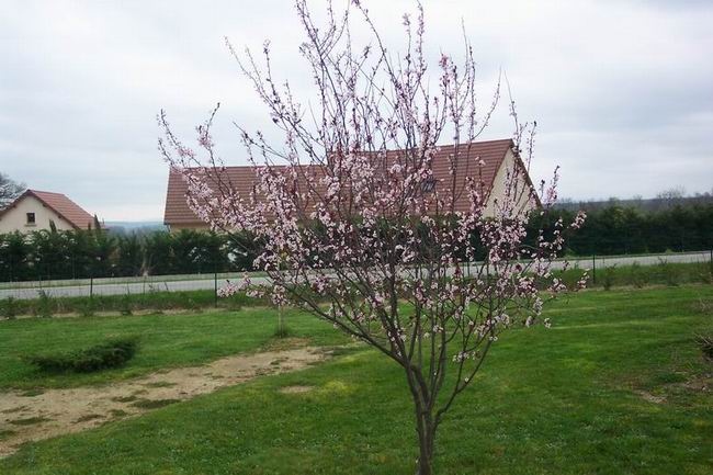 07_03_18_Vegetat_01.jpg