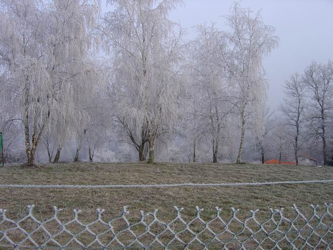 givre_PysBasq_Noel2005_04.jpg