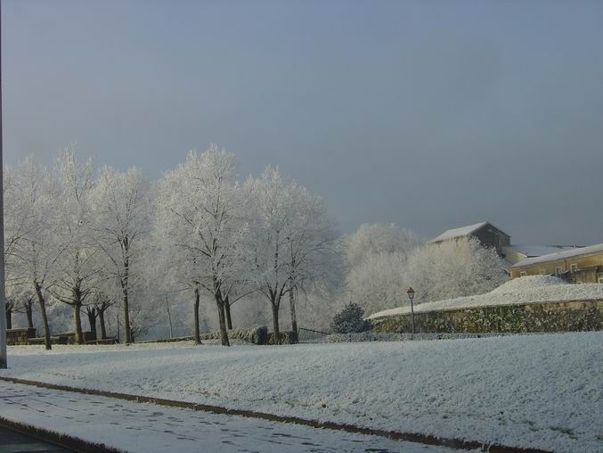 givre_PysBasq_Noel2005_19.jpg