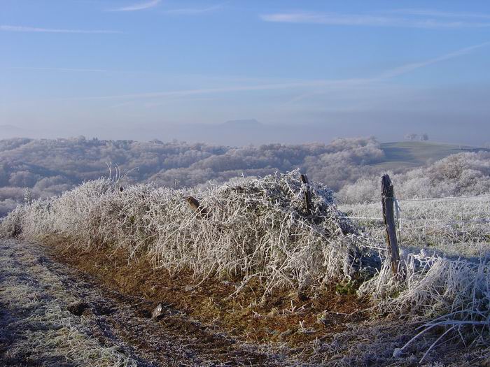 givre_PysBasq_Noel2005_21.jpg